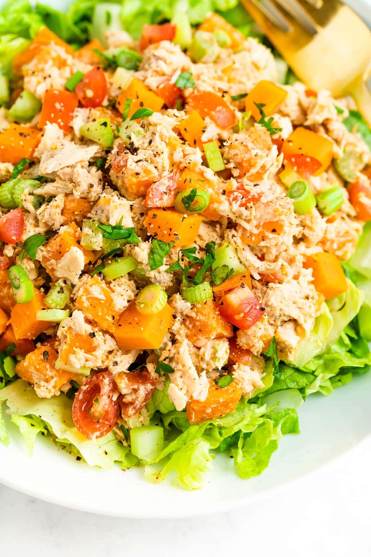 No Mayo Sweet Potato Tuna Salad